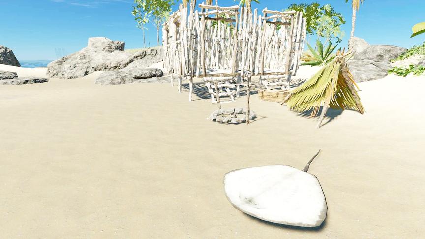 荒岛求生5：第一次搭建霸气海景房，下水捉了条魔鬼鱼来庆功！