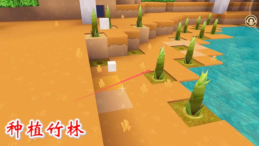 迷你世界联机高级生存71：我们在山上种一片竹子，造一个人工竹林