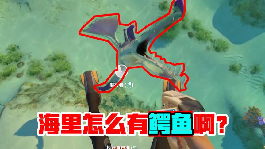 木筏求生第二季02：海里居然有鳄鱼？幸亏我游的快，不然可惨了！