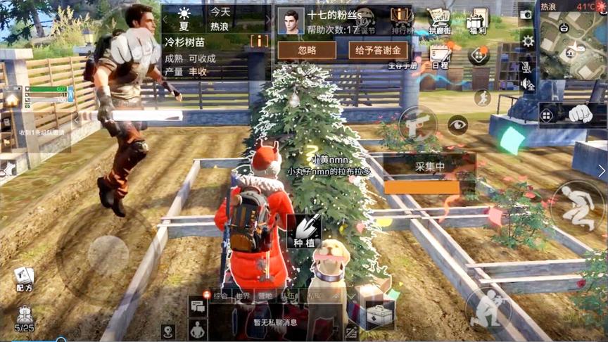 明日之后143：一棵圣诞树结这么多金苹果？这次我简直赔大发了！