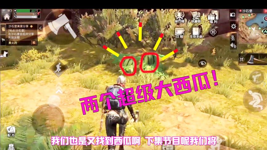 明日之后17：庄园三级以后才能去的地图！没想到会有这种水果？