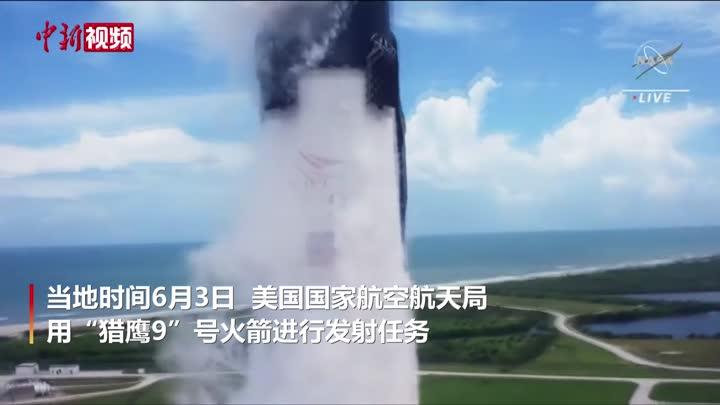 NASA将128只小鱿鱼送往国际空间站
