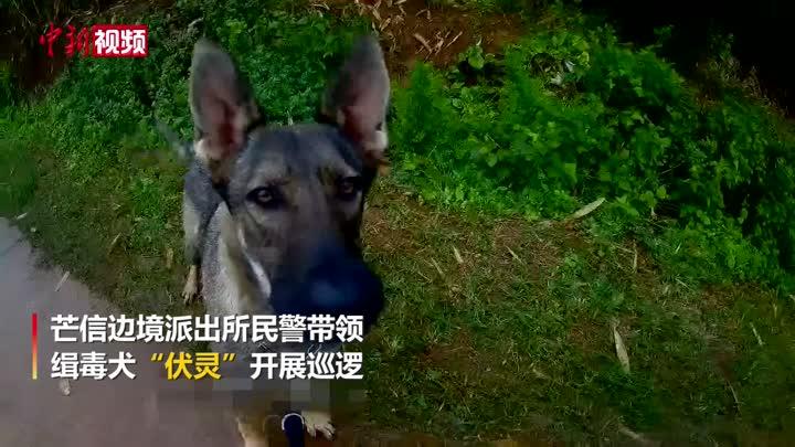 缉毒犬边境巡逻嗅出万克冰毒