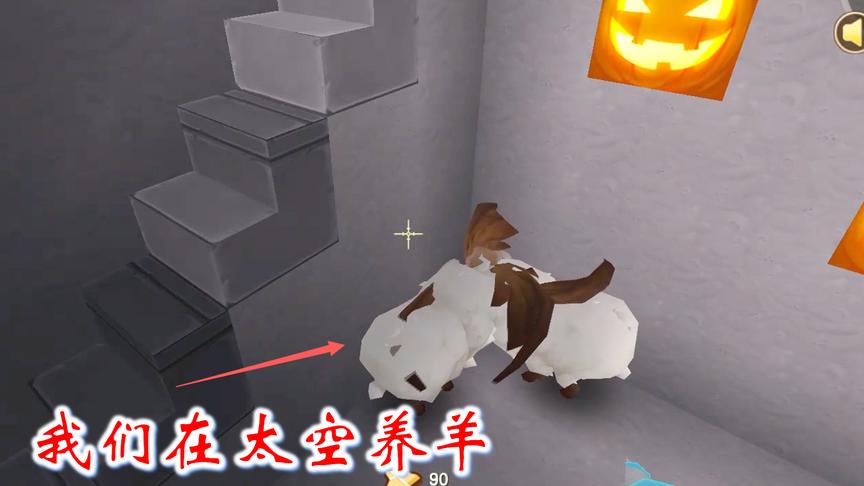 迷你世界联机519：我们开启太空养殖计划，第一只羊宝宝诞生了