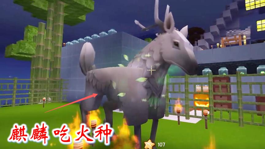 迷你世界联机551：麒麟吃完火种，全身冒绿光，开始回血
