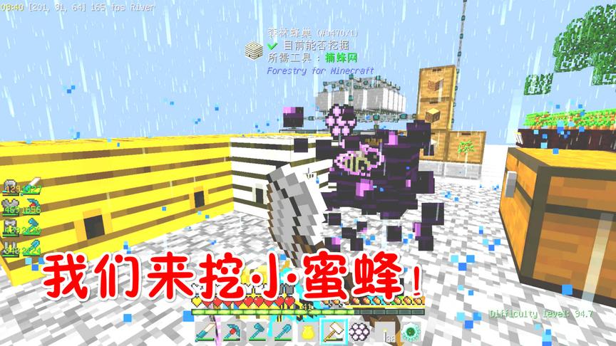 我的世界无人入眠63：真正的蜂巢，捕捉小蜜蜂！