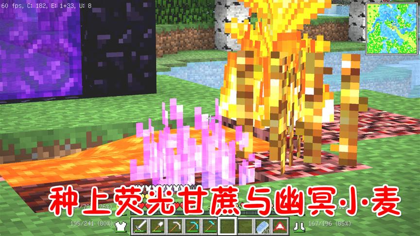 我的世界美丽新世界第二季16：种上荧光甘蔗与幽冥小麦！