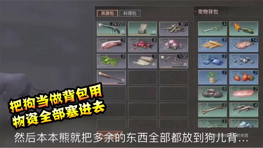 明日之后40：本本熊把狗狗当做背包来用，拆家的物资都装不回家了