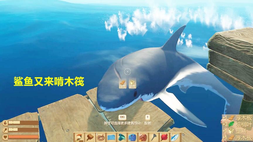 漂流海上遇到鲨鱼袭击，这次我用大锤砸它，木筏还是被啃烂了