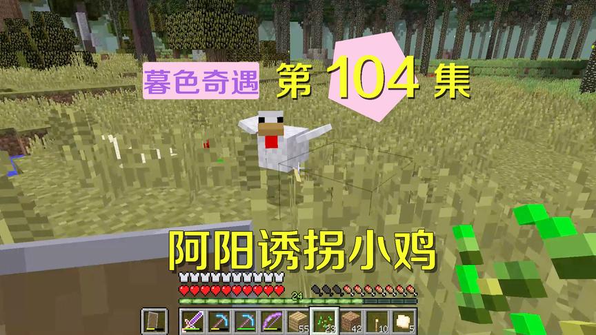 我的世界阿阳暮色奇遇104：为拿羽毛做箭，我对这只小鸡威逼利诱