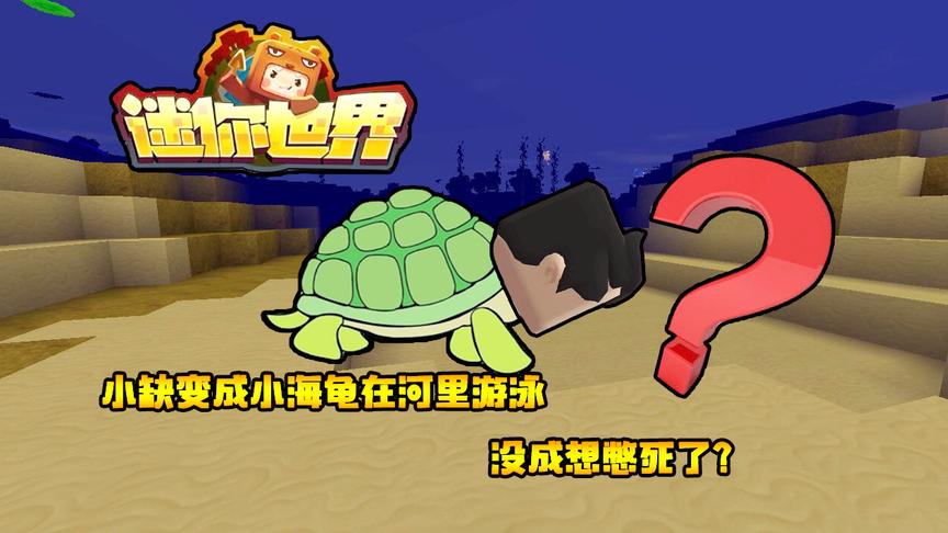 迷你世界联机生存146：小缺变成小海龟在河里游泳，没成想憋死了