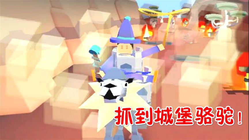 疯狂动物园：澳洲连抓4只新动物，城堡大骆驼！