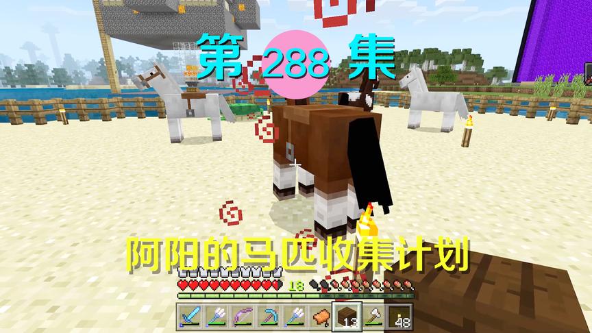 我的世界阿阳历险记288：我养了一个战马团，海龟乐园已被马占据