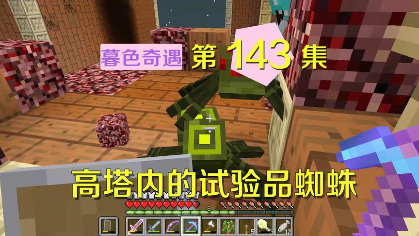 我的世界阿阳暮色奇遇143：高塔实验蜘蛛，却挡不住节肢杀手小月