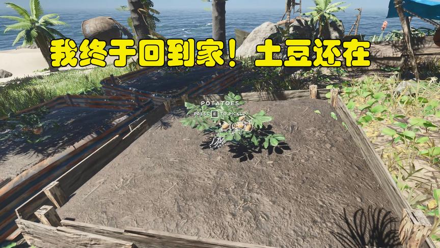 荒岛求生46：我终于回到了家，万幸的是土豆还在，而且长了许多