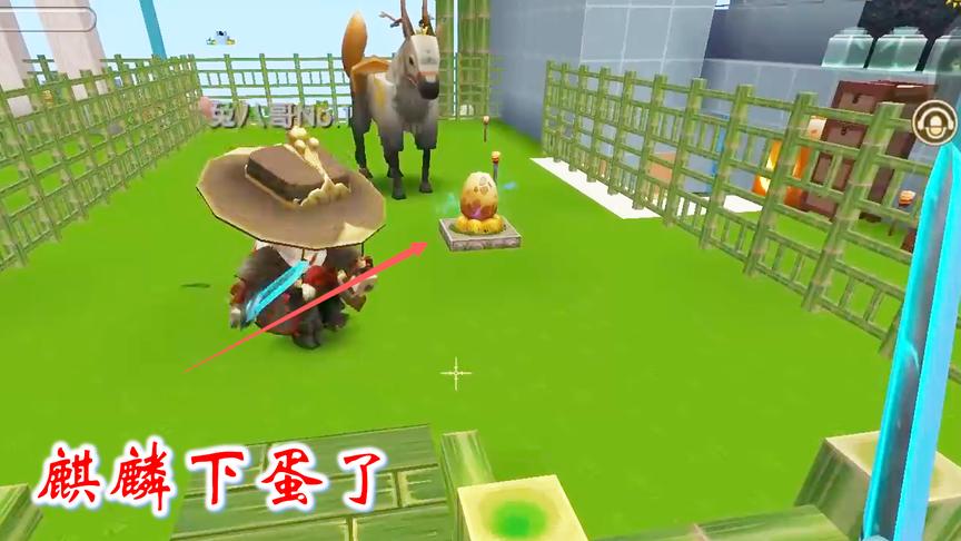 迷你世界联机546：经过漫长的等待，麒麟坐骑终于下蛋了