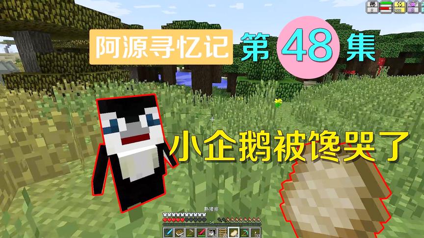 我的世界阿源寻忆记48：阿源吃秘制烤猪排，面前企鹅被馋哭了！