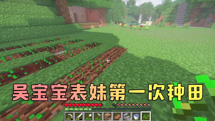 我的世界：萌新吴宝宝表妹开始种田了 她还接了很多小动物回来