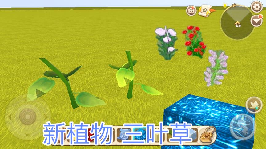 迷你世界：新版植物“三叶草”，可以制作药材？吃下去加满血？