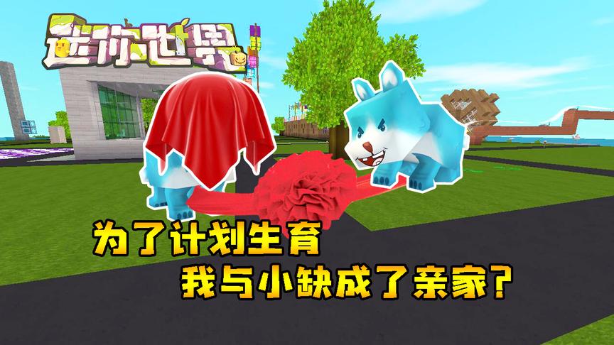 迷你世界联机生存203：为了计划生育，我与小缺成了亲家？