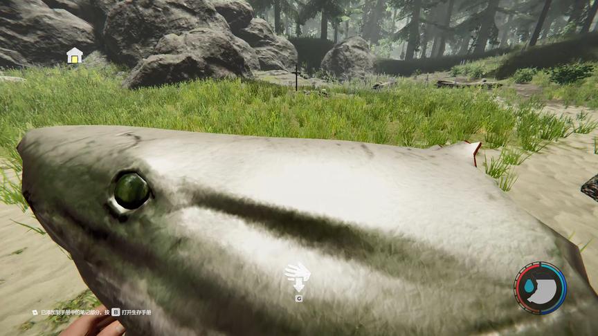 迷失森林05：我遇到了一条搁浅的大白鲨，于是它的头是我的了