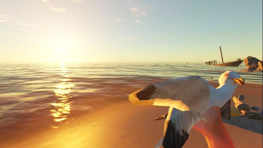 荒岛求生7：终于有床了，连捉5只海鸥补身体，晚上遭不明生物侵扰