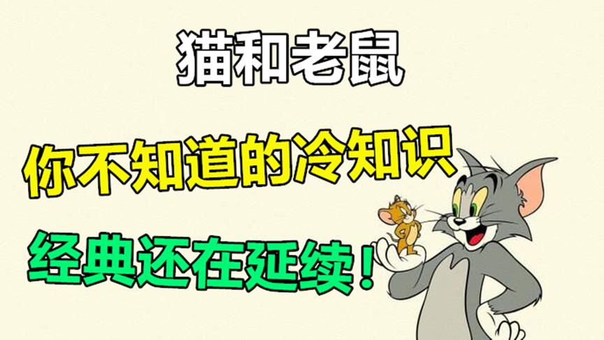 关于猫和老鼠的冷知识，经典还在继续延续！