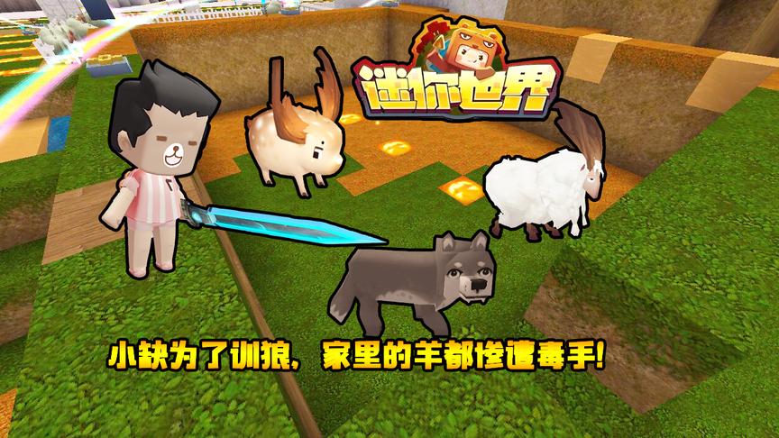 迷你世界联机生存142：小缺为了训狼，家里的羊都惨遭毒手！