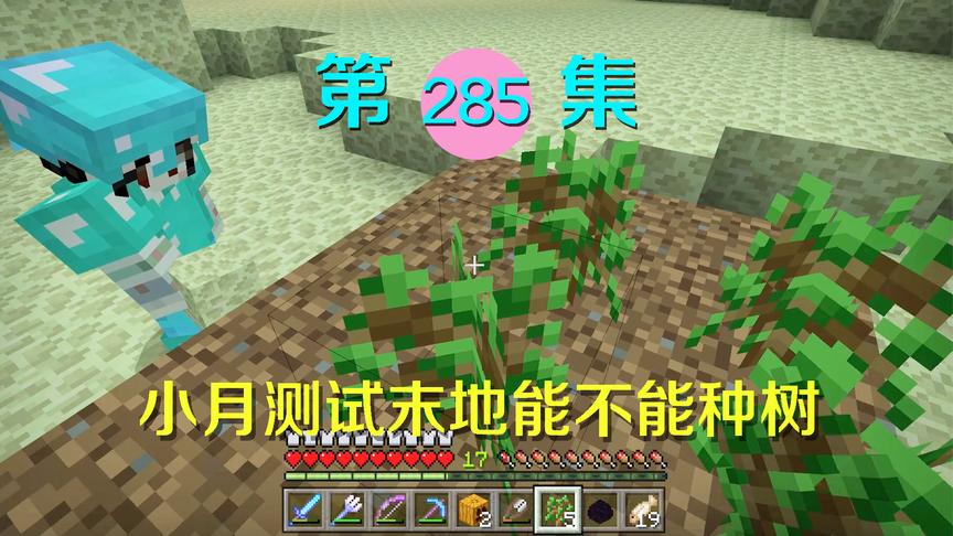 我的世界阿阳历险记285：小月太有探究精神，测试末地能否种树