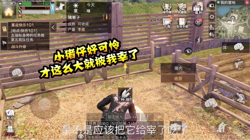 明日之后11：小猪仔终于被我养大了，只能忍下心来宰了吃了！
