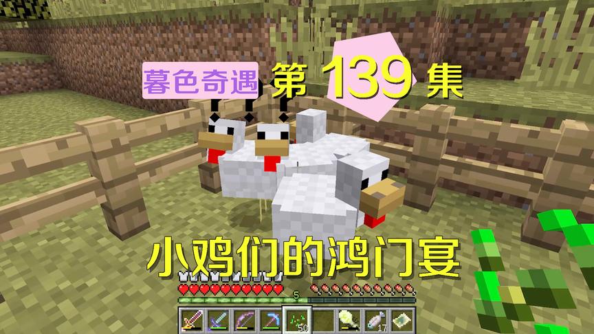 我的世界阿阳暮色奇遇139：阿阳喂鸡不慎说漏嘴，鸡们有点不满