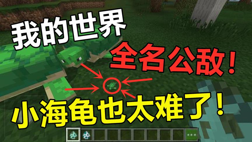 我的世界：小海龟招惹谁了？怎么这么多生物要欺负海龟！