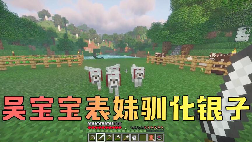 我的世界：吴宝宝表妹终于把狼驯化成了狗 还给它取名叫银子