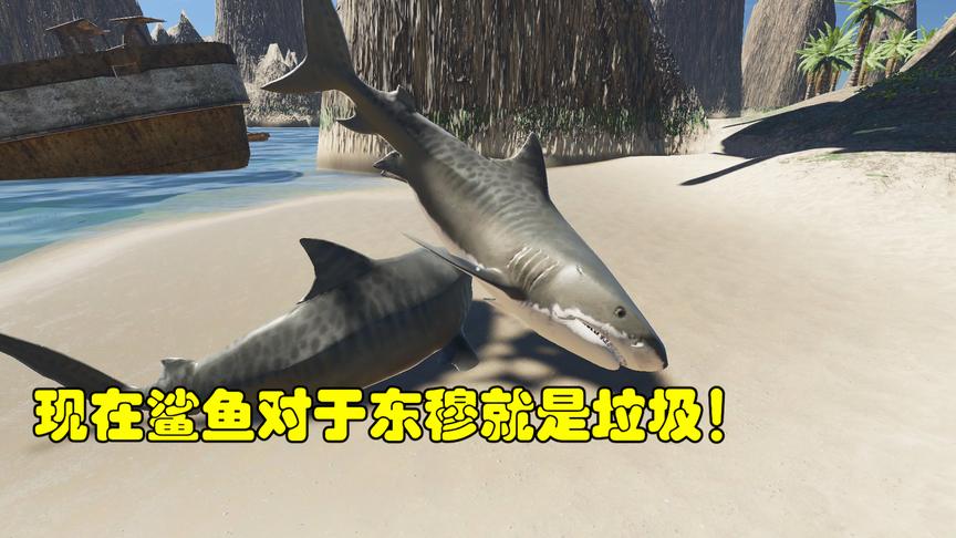 荒岛求生57：对于现在的东穆来说鲨鱼杀伤力怎样？恕我直言垃圾