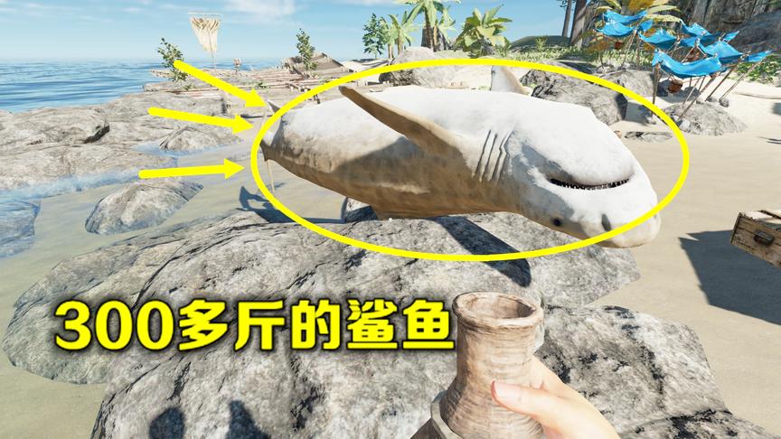 荒岛求生03：没有买卖就没有杀害，鲨鱼这么可爱，怎么可以吃它？