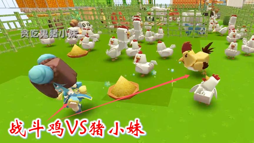 迷你世界联机528：猪小妹打了一下战斗鸡，结果被战斗鸡干掉了