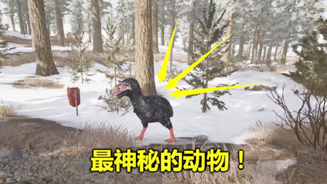 绝地求生：雪地地图有一个怪物，没人认识它，全图就一只