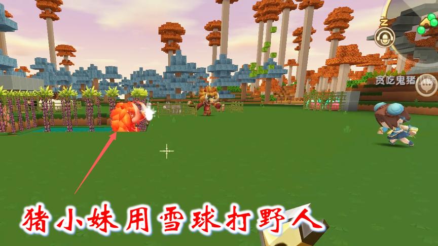迷你世界联机高级生存35：猪小妹用雪球打野人，打的野人点头求饶