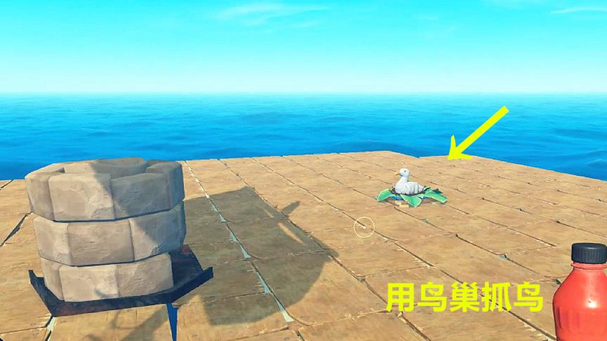 木筏求生第17期！海鸟天天偷吃我东西，我造了个“鸟巢”来抓它