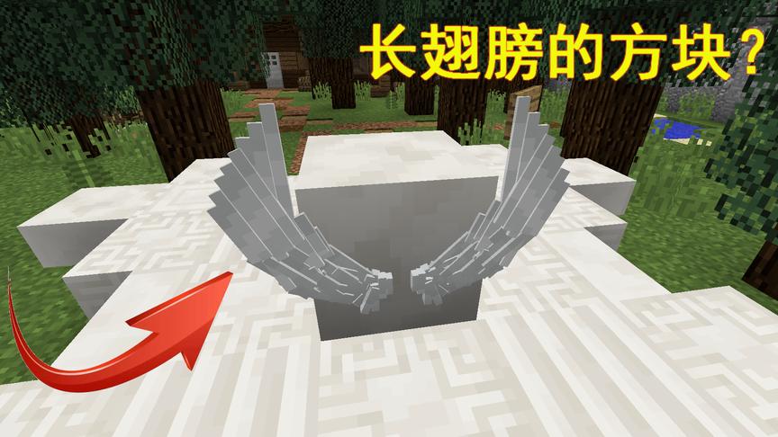 我的世界：长翅膀的方块？滑动方块？各种特效，这是我的世界吗？