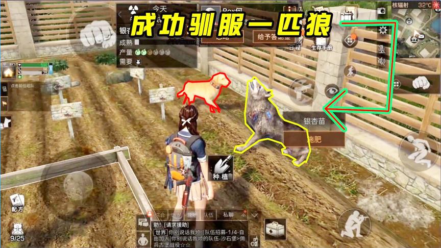 明日之后94：系统免费送我一只新宠物？仔细一看竟然是一匹狼？