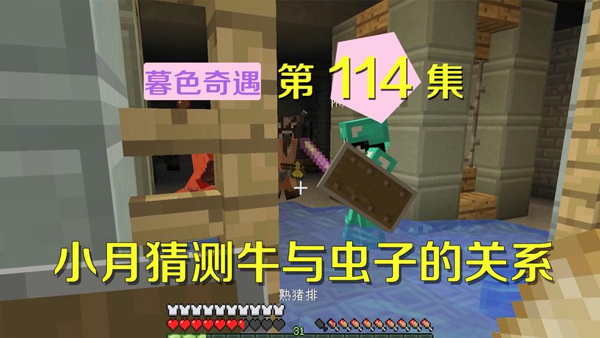 我的世界阿阳暮色奇遇114：小月推测虫子和牛是这关系，有点恶心