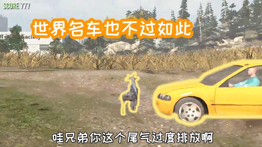 再次来到人类领地！火爆猴与世界名车并驾齐驱！