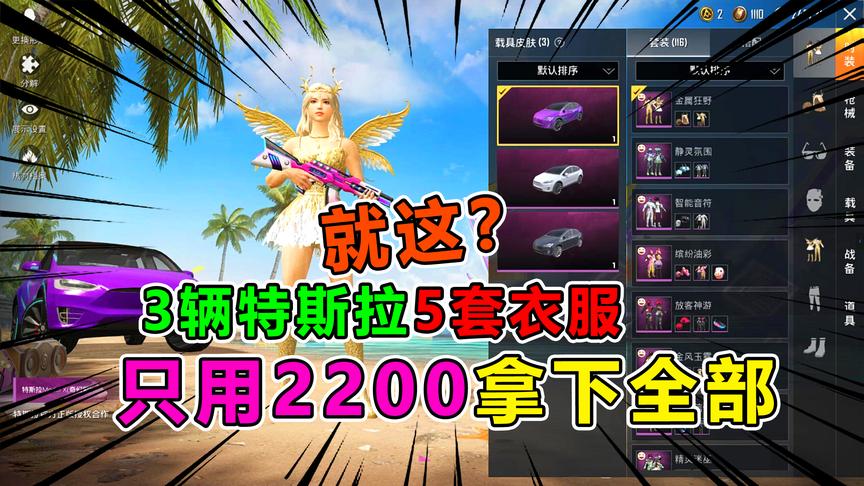 天成：全网最欧，特斯拉5大套装全部拿下竟只用2200！光子要哭了