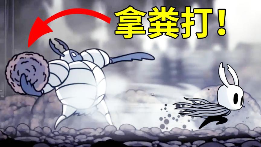 什么白色防御者？不就是个屎壳郎嘛！小宝趣玩