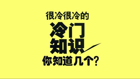 君君的冷知识视频