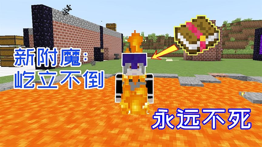 小毅拔刀剑52：玩家得到屹立不倒附魔，能用经验免疫伤害！