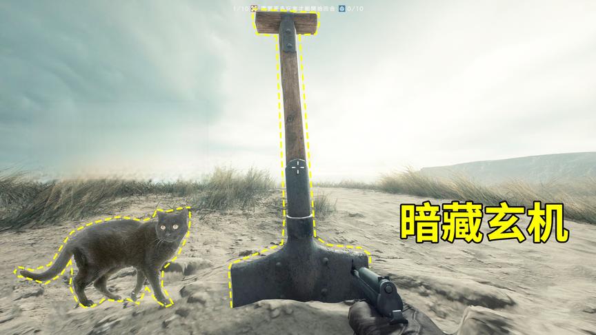 神经哥解说：海边发现神秘彩蛋，坟墓里传出士兵和猫叫声！