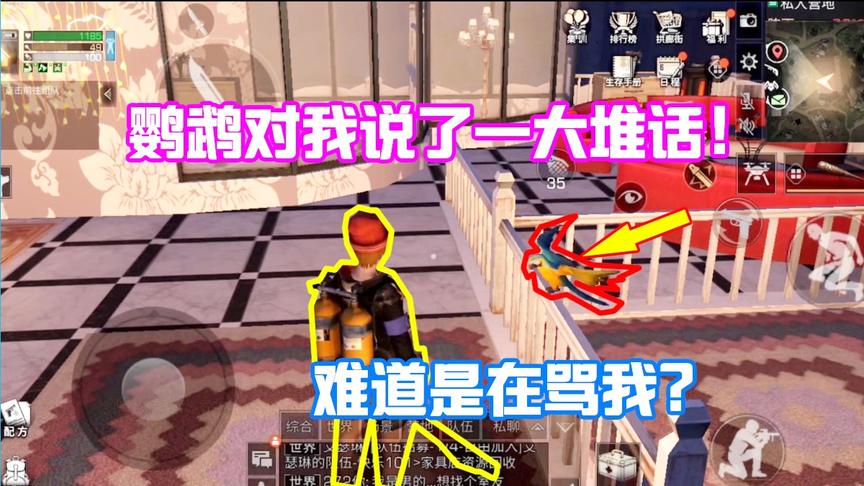 明日之后632：这个鹦鹉叽里咕噜说了一大堆！谁能给我翻译一下？