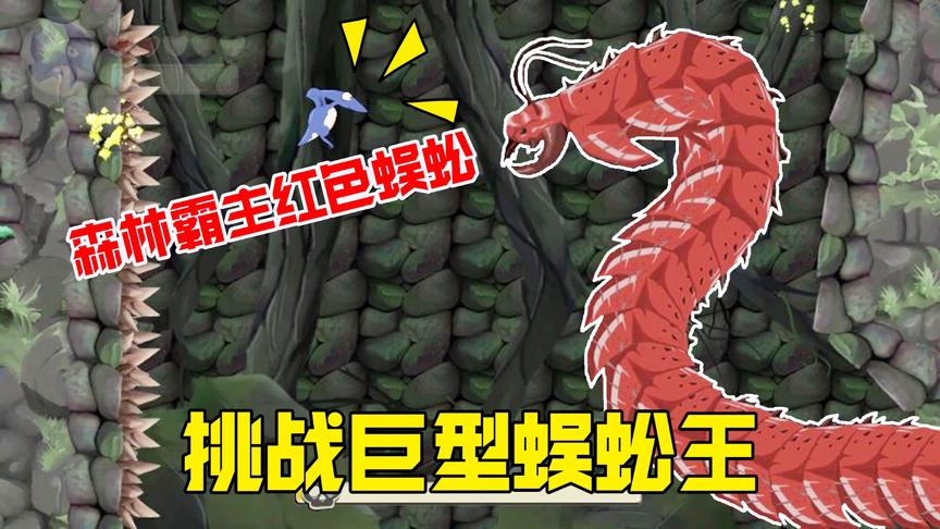 翼龙历险记：小翼龙闯进森林深处，遇见了巨型蜈蚣王